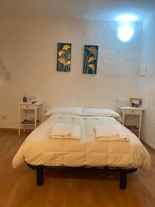 Gianfranco - City Center Apt Florenz Exterior foto